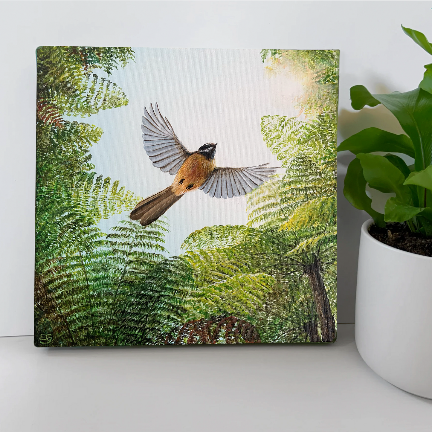 Fantail In Flight - Canvas Print