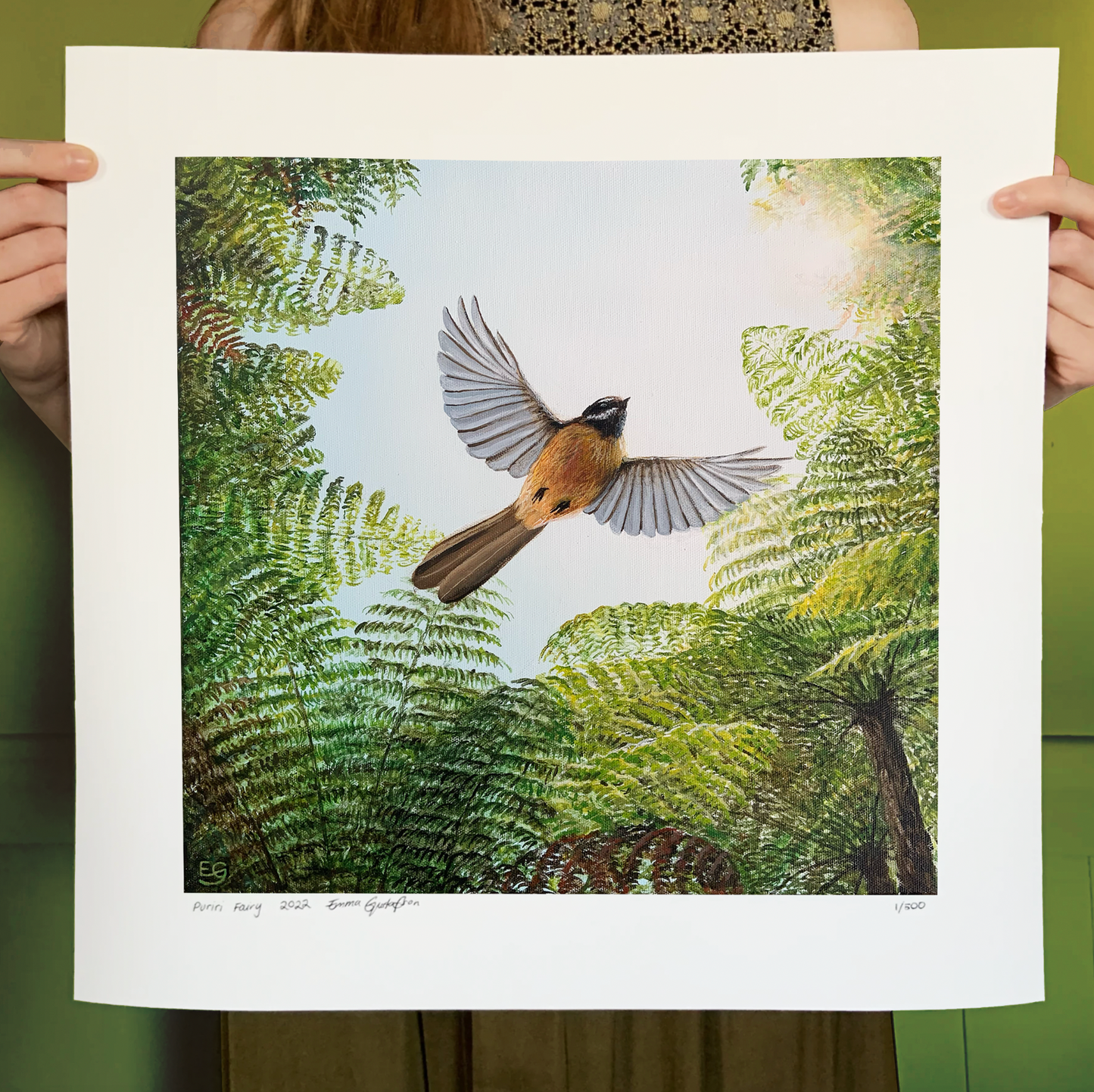 Fantail In Flight - Paper Print