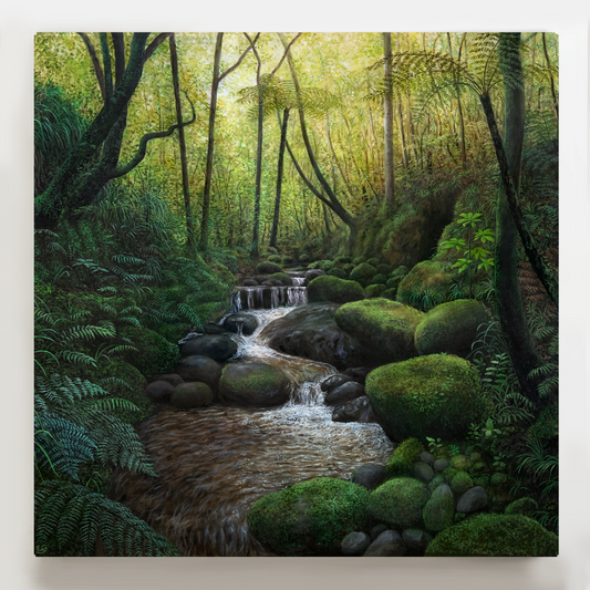 Waiomu Valley Scene | Canvas Print