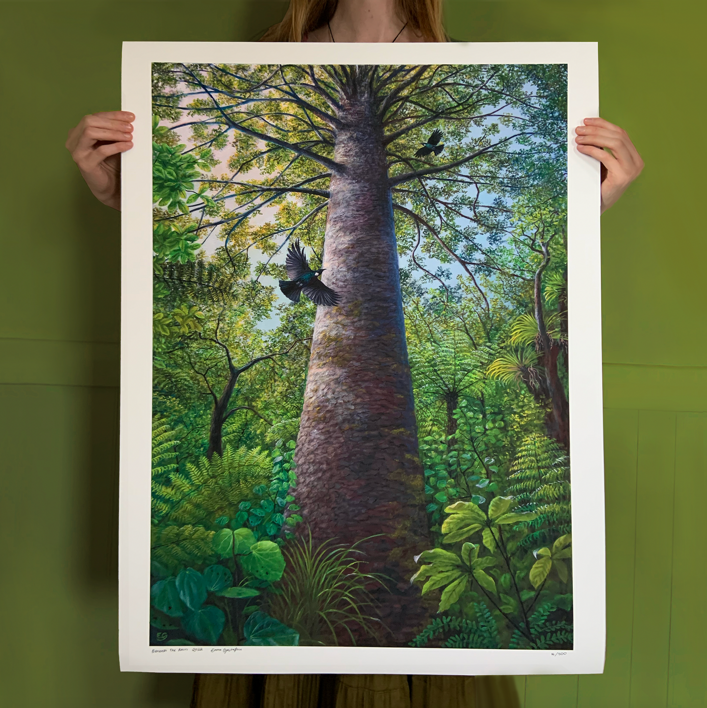 Beneath The Kauri - A1 Print