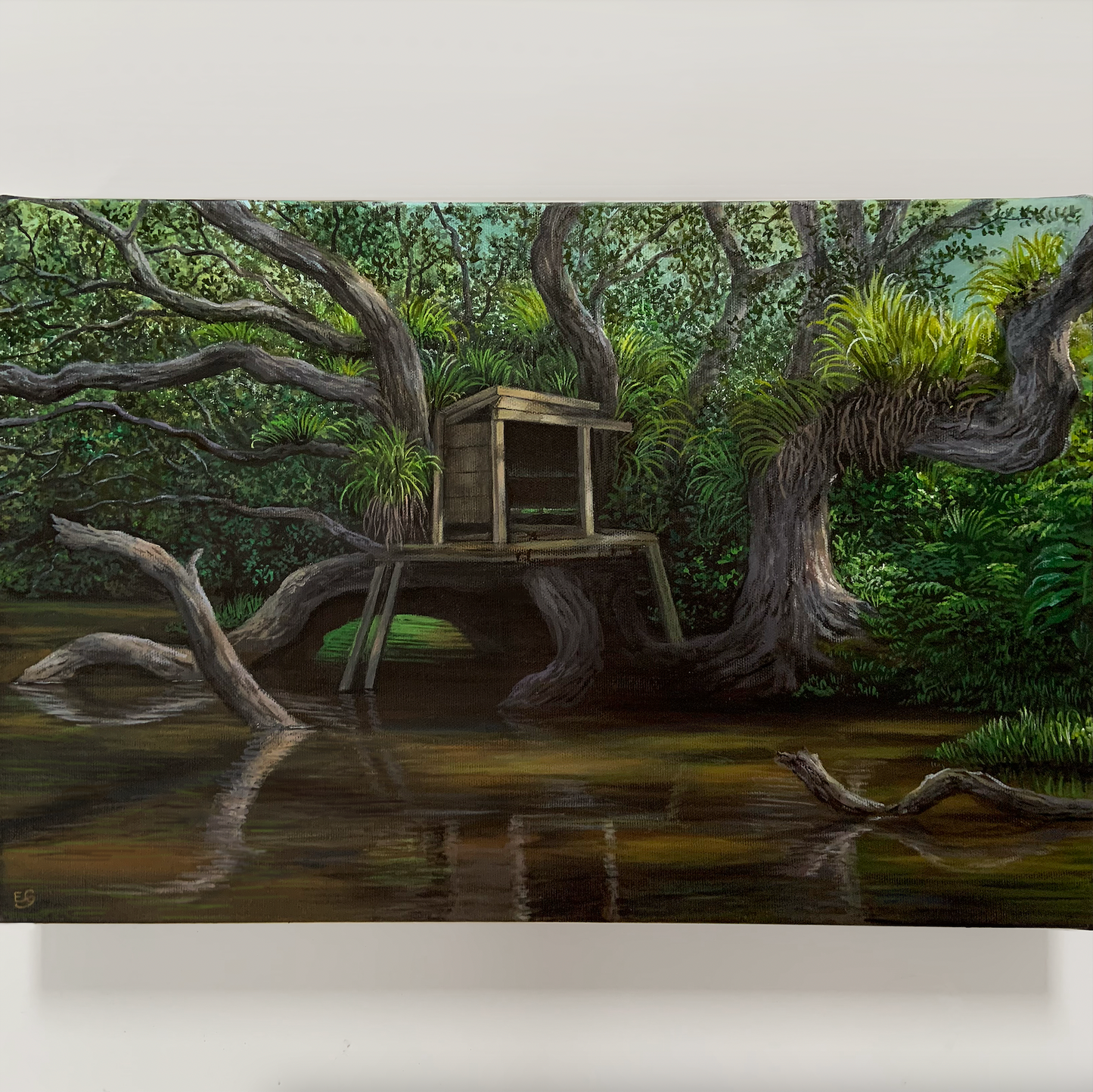 Kuaotunu's Abandoned Tree House - Original