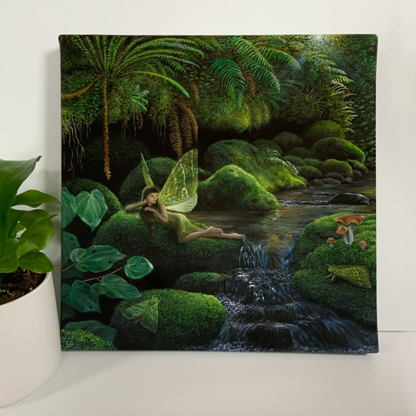 Pūriri Fairy - Canvas Print