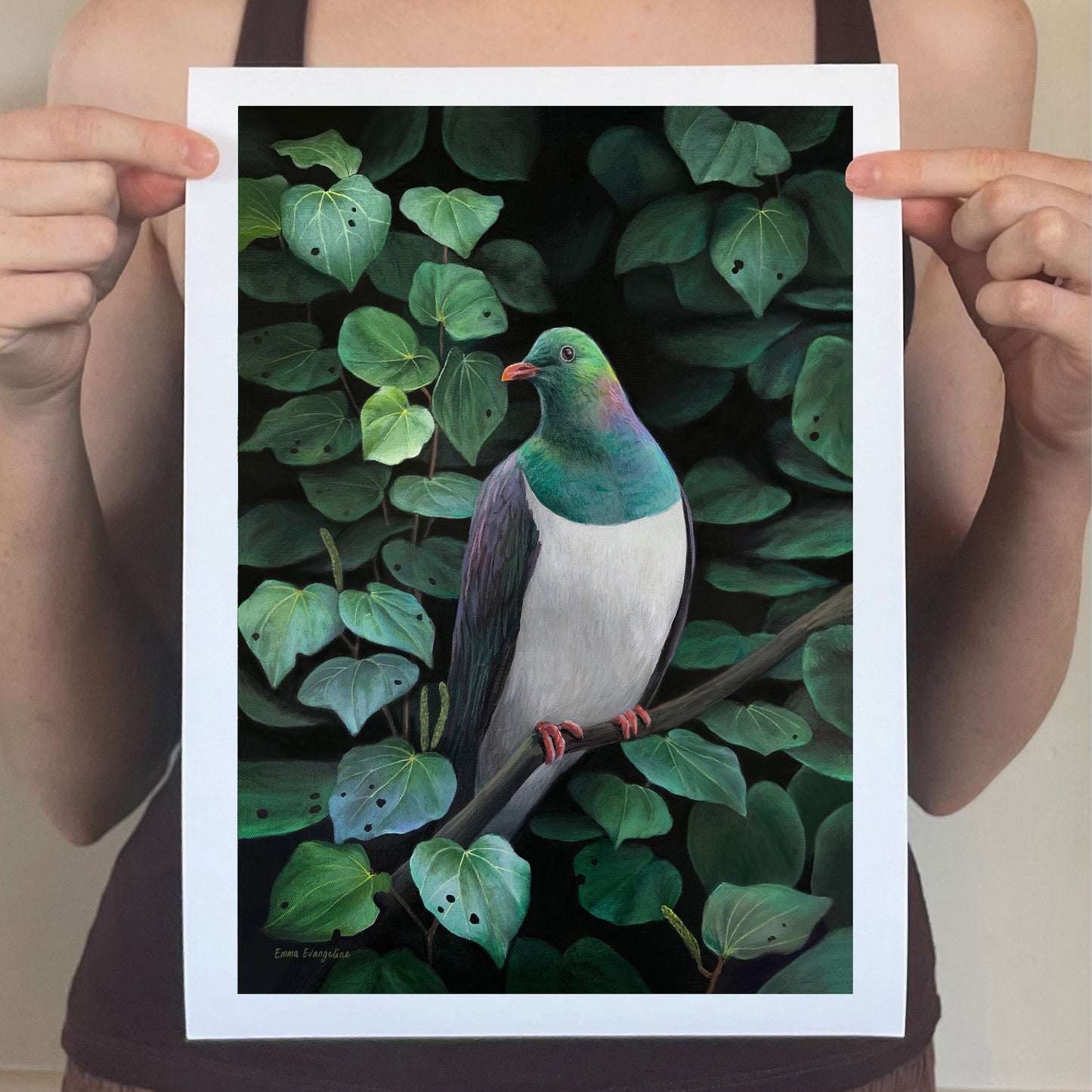 Kererū and Kawakawa - A4 Print