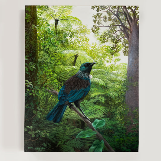 Resting Tui