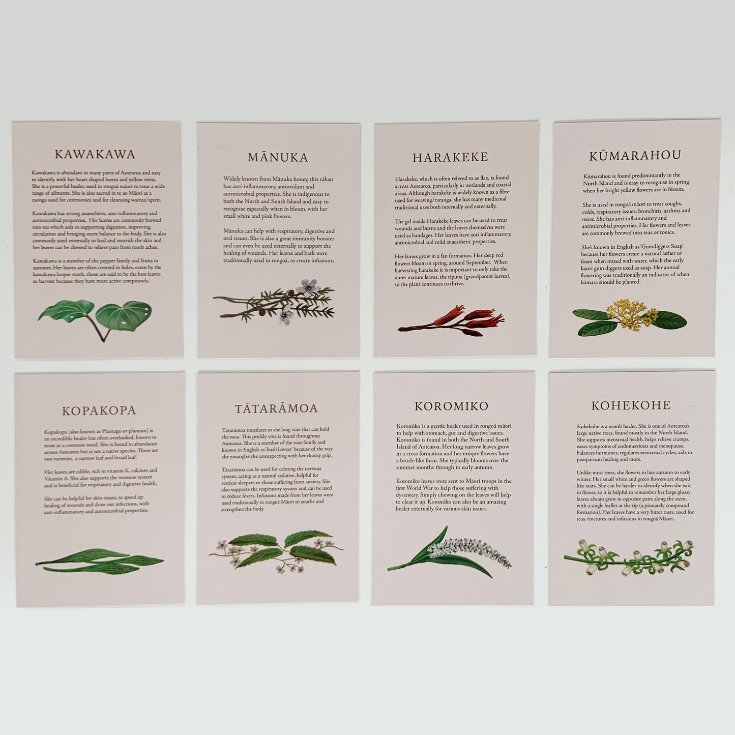 Medicinal Fairy Series | Mini Edition (C6 Size)