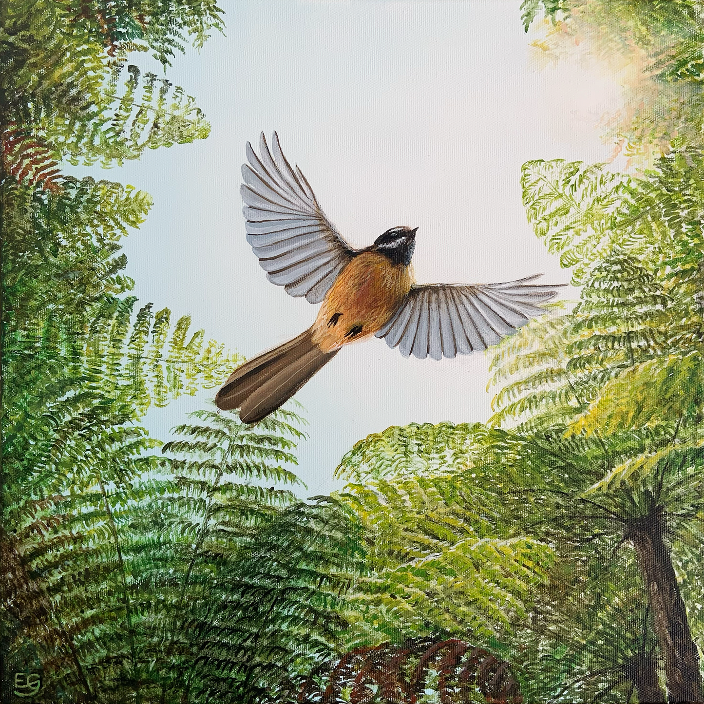 Fantail In Flight