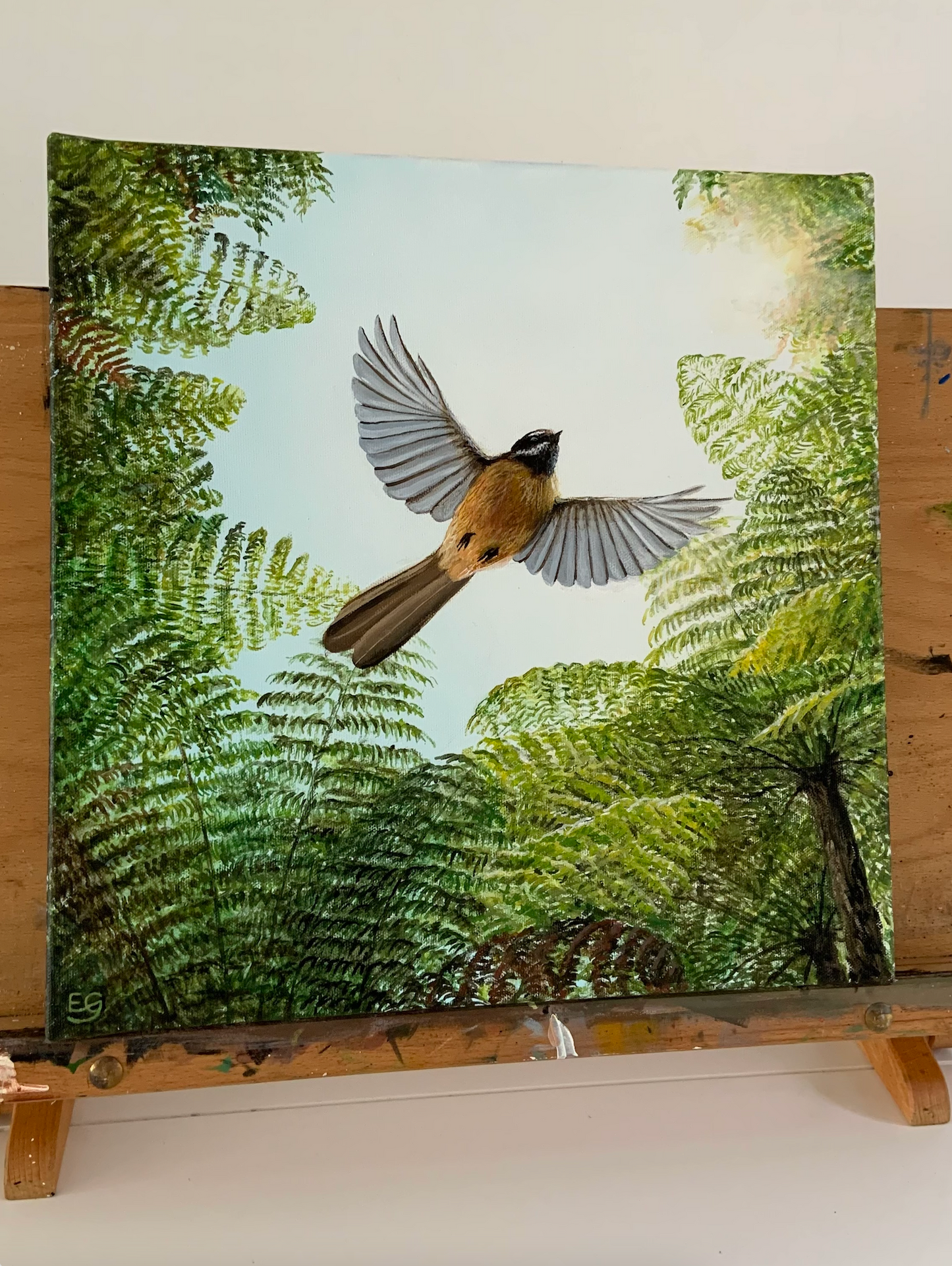 Fantail In Flight