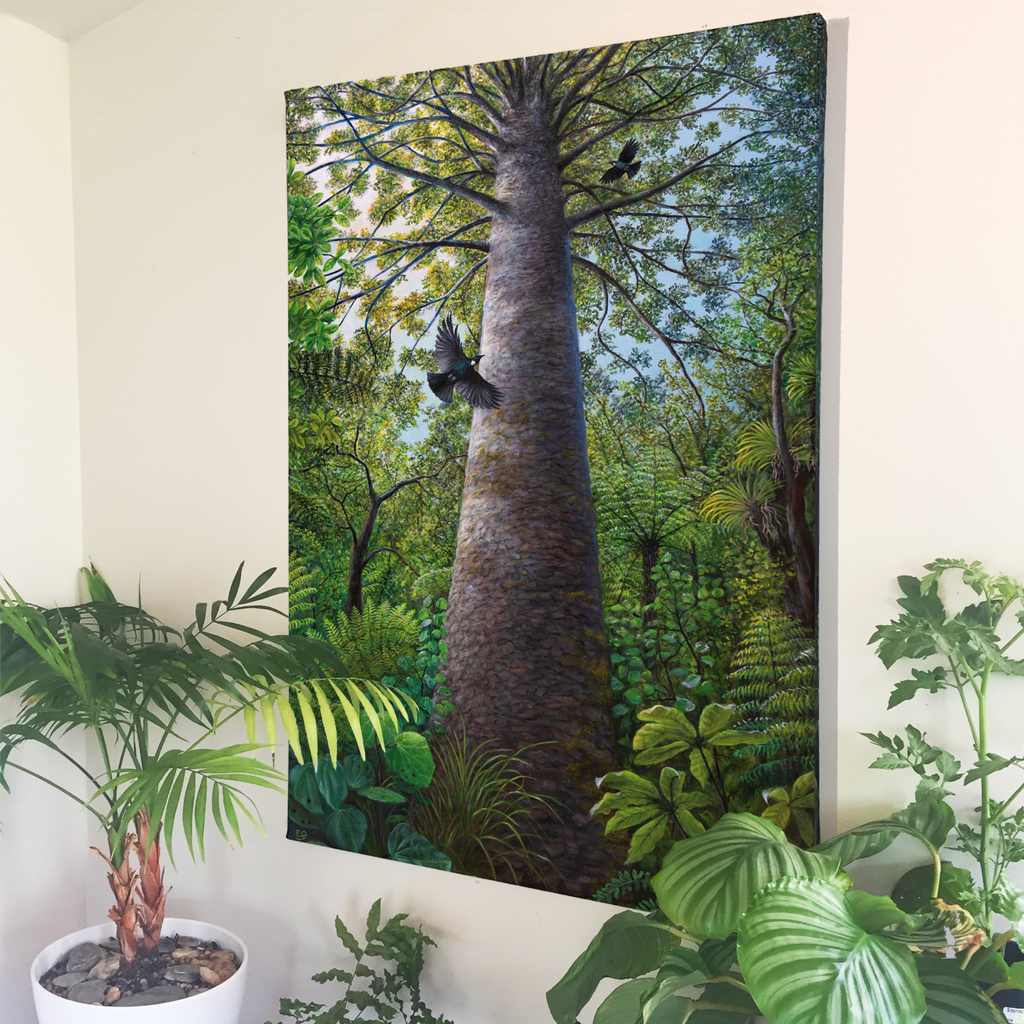 Beneath The Kauri - Canvas Print