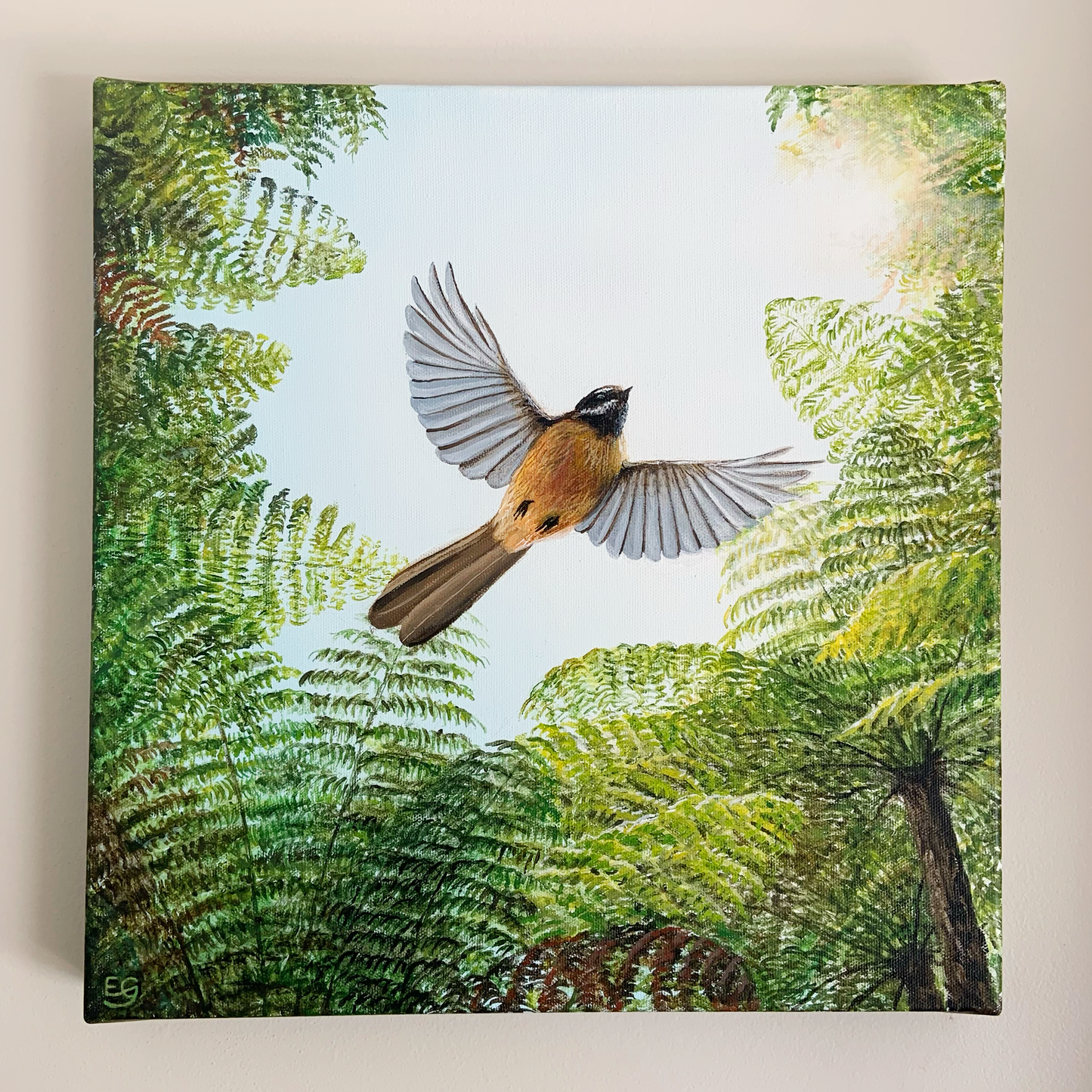 Fantail In Flight