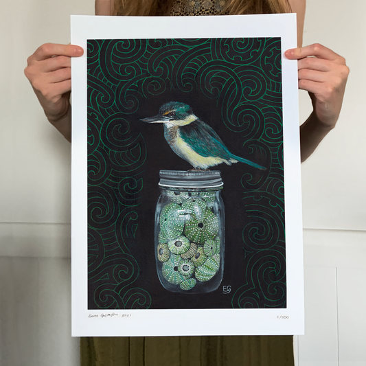 Kingfisher on Kina - A3 Print